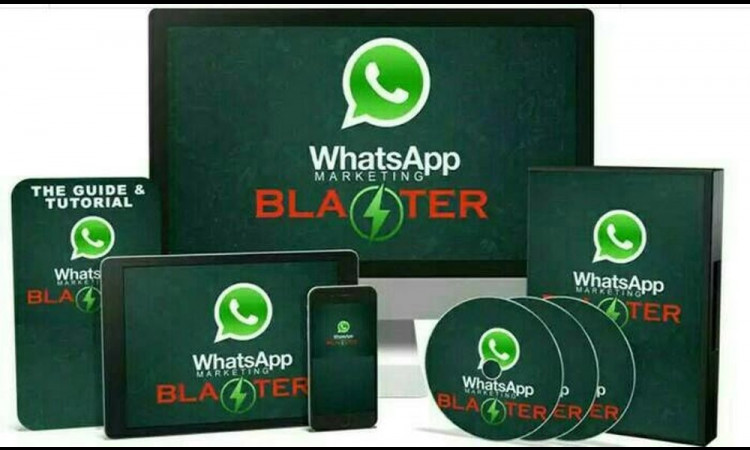 Whatsapp Blaster Jual Cepat
